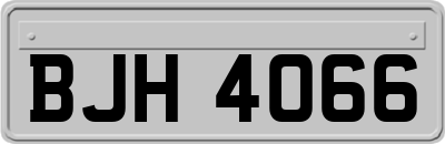 BJH4066