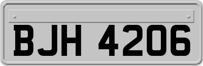 BJH4206