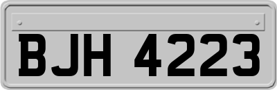 BJH4223