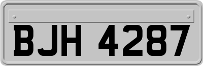 BJH4287