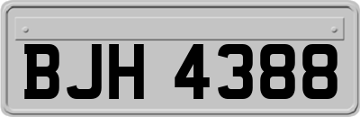 BJH4388