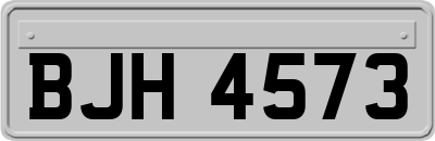 BJH4573