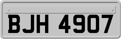 BJH4907