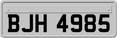 BJH4985
