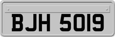 BJH5019