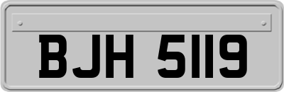BJH5119