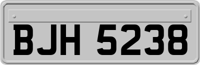 BJH5238