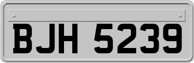 BJH5239