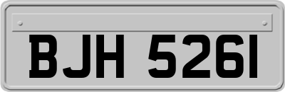 BJH5261
