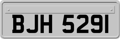 BJH5291