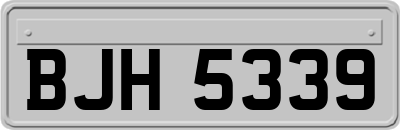 BJH5339