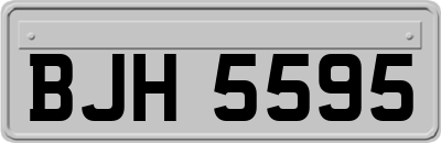 BJH5595