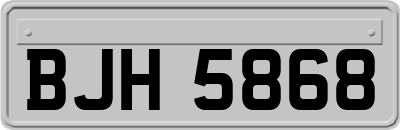 BJH5868