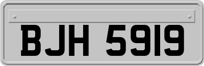 BJH5919