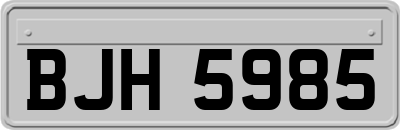 BJH5985