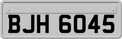 BJH6045