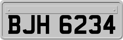 BJH6234