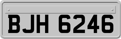 BJH6246