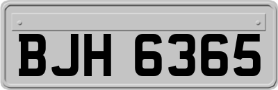 BJH6365