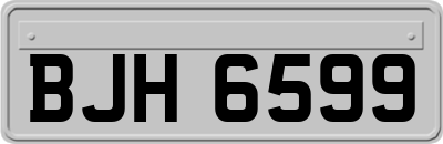 BJH6599