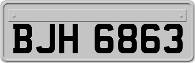 BJH6863