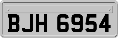 BJH6954