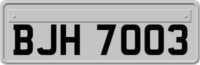 BJH7003