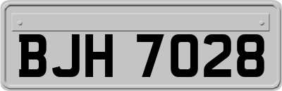 BJH7028