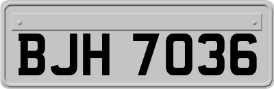 BJH7036