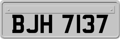 BJH7137