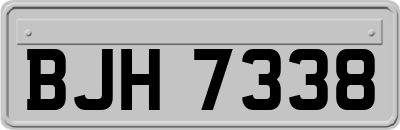 BJH7338