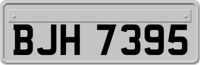 BJH7395