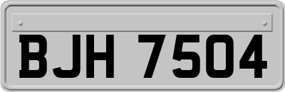 BJH7504