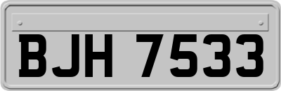 BJH7533