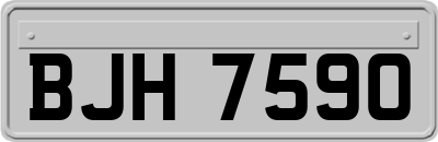 BJH7590