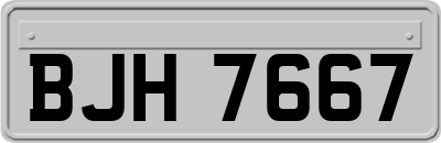 BJH7667