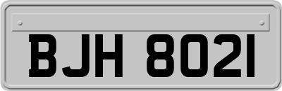 BJH8021