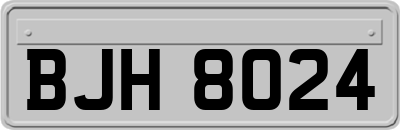 BJH8024