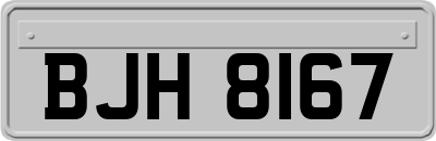 BJH8167