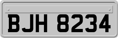 BJH8234