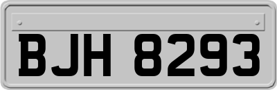 BJH8293