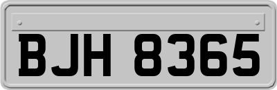 BJH8365