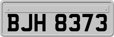 BJH8373