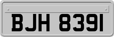 BJH8391