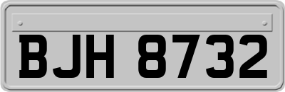 BJH8732