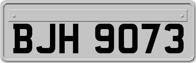 BJH9073