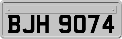 BJH9074