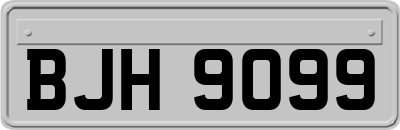 BJH9099