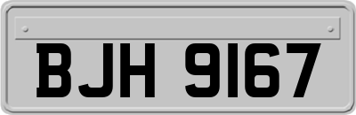 BJH9167