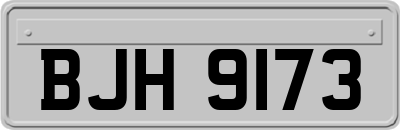 BJH9173